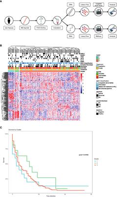 The transcriptomic landscape of elderly acute myeloid leukemia identifies B7H3 and BANP as a favorable signature in high-risk patients